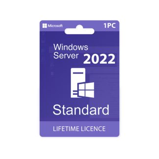 Microsoft Windows Server 2022 Standard License